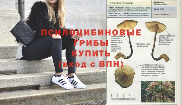 дмт Богородицк