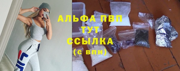 стаф Богданович