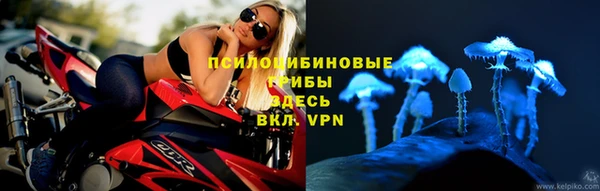 не бодяженный Богородск