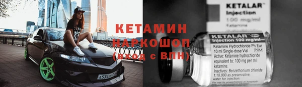 стаф Богданович