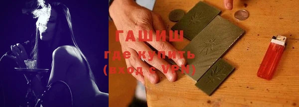 стаф Богданович