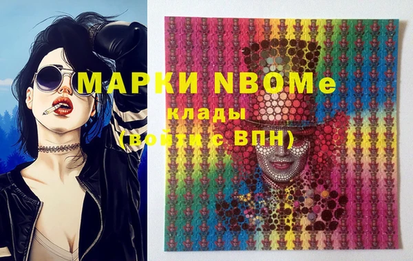 стаф Богданович
