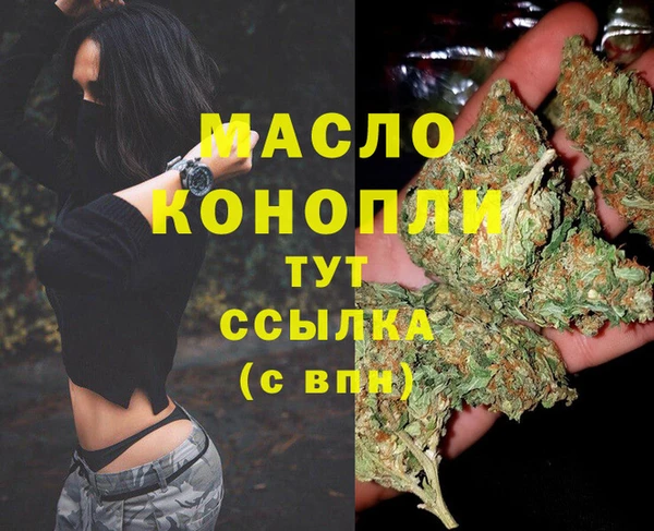 дмт Богородицк