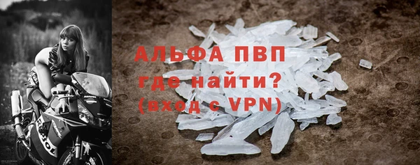 стаф Богданович
