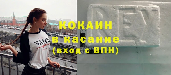 стаф Богданович