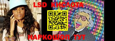 дмт Кингисепп