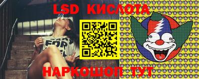 дмт Кингисепп