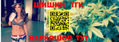 дмт Кингисепп