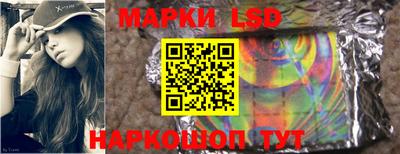 дмт Кингисепп