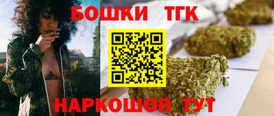 дмт Кингисепп