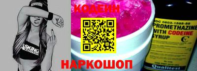 дмт Кингисепп