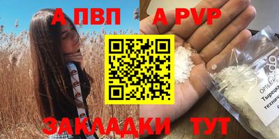 дмт Кингисепп