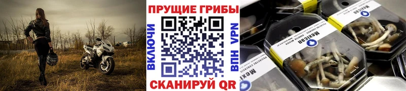 Галлюциногенные грибы мицелий Тула