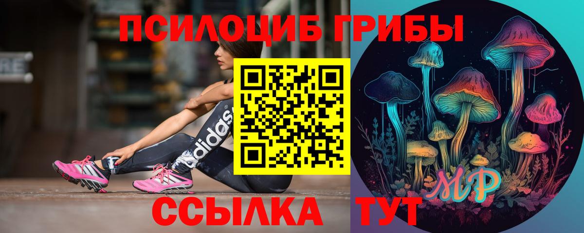 Галлюциногенные грибы Cubensis Тула